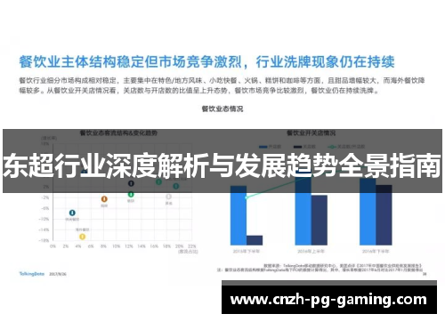 东超行业深度解析与发展趋势全景指南