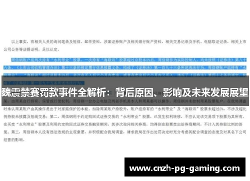 魏震禁赛罚款事件全解析：背后原因、影响及未来发展展望